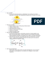 Taller Matriz Extracelular