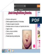 FISIOLOGIA DEL APARATO REPRODUCTOR MASCULINO.pdf