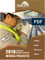 Enami-Mining-Projects.pdf