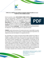 Martha Lucia Guzman Aldana PDF
