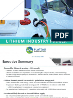 PLU Lithium Industry Primer FINAL - Compressed PDF