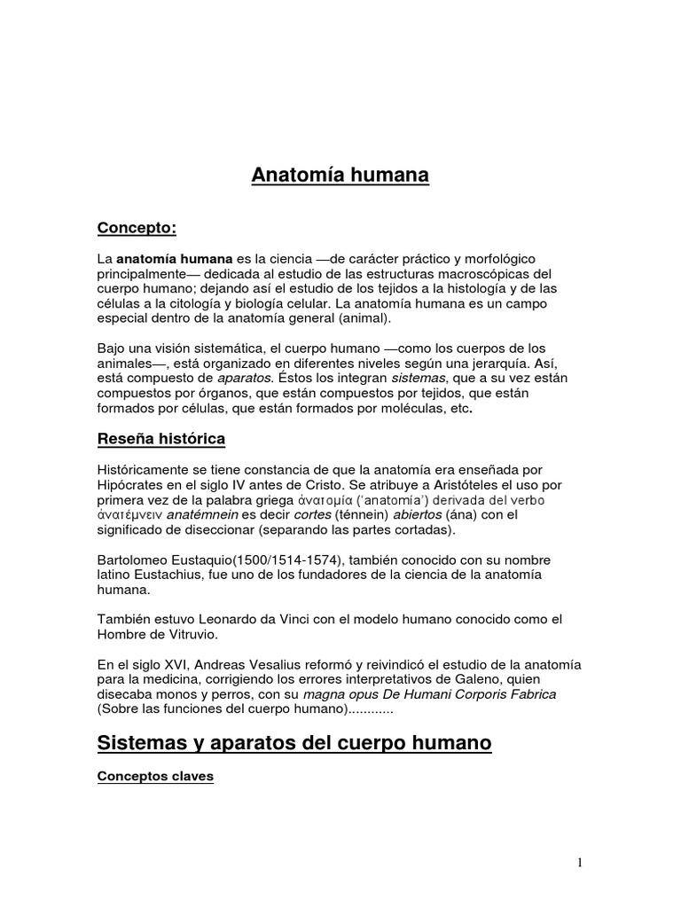 h2mKmN4DRngAC9AfyT09 632.541.383-09 (1) - Anatomia I