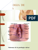 Patologias de Vulva 15 2