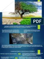 Propuesta para mejorar la calidad del aire de la Cd de México.pptx
