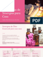 24 Receitas de Sinergias para Casa PDF