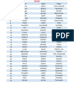 Vocabulario Cuarto