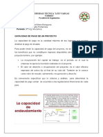 Capacidad de Pago y Flujo de Caja