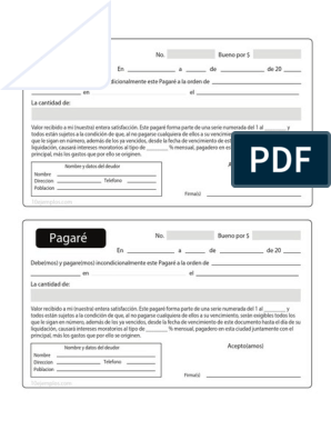Pagare para Imprimir PDF | PDF