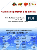 culturasdopimentaoedapimenta2013-151125215915-lva1-app6892.pdf