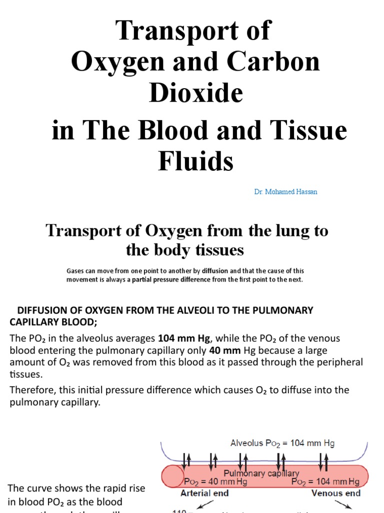 Oxygen and Carbon Dioxide Transport in Blood | PDF | Blood | Hemoglobin