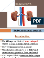 The Kidneys: By/Dr - Abdisamad Omar Ali