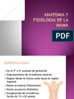 Anatomiayfisiologiadelamama 101220203217 Phpapp02