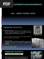Proyección Schuller en Radiografía TM | PDF | Ciencia y matemáticas