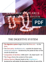 The Anatomical Pearls On Digestive System