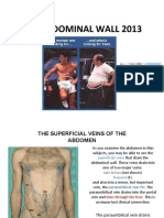 The Abdominal Wall 2014 With Del