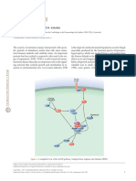 mTOR Signaling: Mathieu Laplante and David M. Sabatini