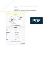 Neuron: Jump To Navigation Jump To Search