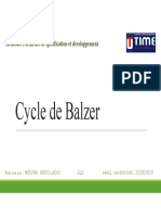 Cycle de Balzer