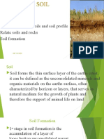 Soil Presentation Print Leo