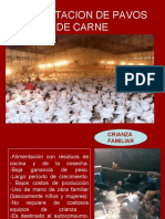 Crianza familiar de pavos de carne