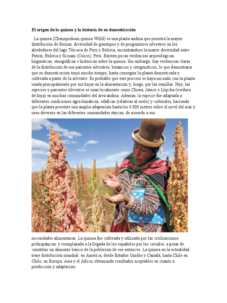 El Origen de La Quínoa y La Historia de Su Domesticación PDF Quinua