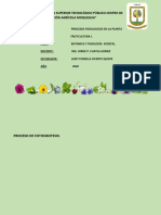 Procesos fisiológicos en plantas: fotosíntesis, respiración y transpiración