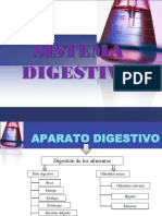 sistema digestivo.pdf