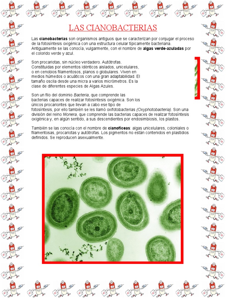 Las Cianobacterias Pdf