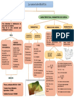 Delimitación y parámetros de una cuenca hidrográfica: área, perímetro y tipos