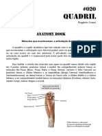 020 Musculos Do Quadril PDF
