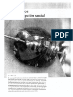 Kassin Et Al (2010) Los Procesos de La Percepción Social