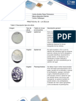 Informe Prácticas Biología Carlos Rojas