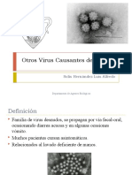 Otros Virus Entericos-2