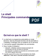 shell.pdf
