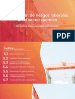 Prevencion de Riesgos Laborales en El Sector Quimico PDF