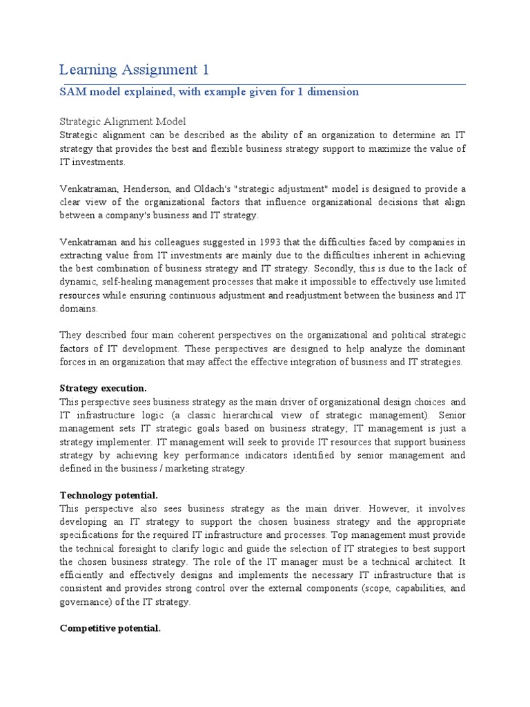 SAM Management Information Systems | PDF | Pricing | Strategic Management