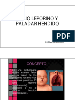 Labio Leporino y Paladar Hendido PDF