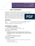 9-curriculum-vitae-profesional-gris