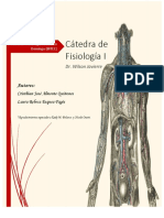 Catedra Fisio 1 PDF