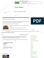Trastornos o fisiopatías en cactus y crasas_.pdf