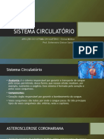 Sistema Circulatório