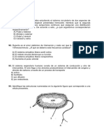 Sistemas circulatorio y respiratorio moluscos