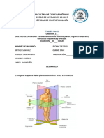 Taller Grupal 2 de Morfofisiologia