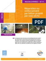 Recos Strres N°11 PDF