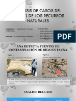 Análisis de Casos Del Estado de Los Recursos PDF