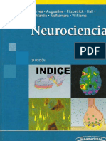 Neurociencia 3ed - Purves