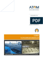 241772961-Apuntes-Flotacion-pdf.pdf