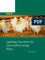 Lighting-Practices-for-Successful-Laying-Hens.pdf