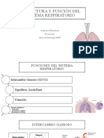 Estructura y Función Del Sistema Respiratorio