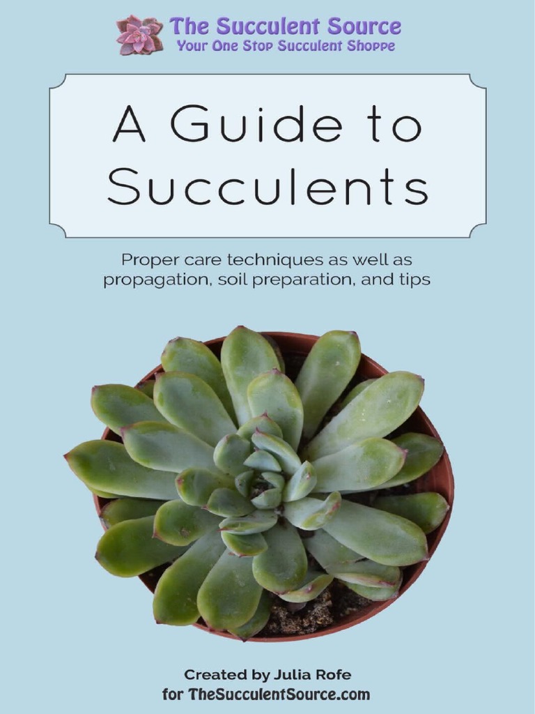 Essential Guide to Succulent Soil Care | PDF | Plants | Horticulture ...